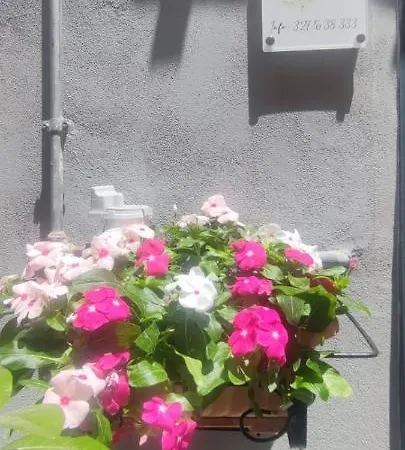 Apartament La Casetta Di Margo