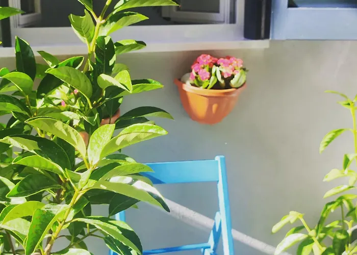 Apartamento La Casetta Di Margo *